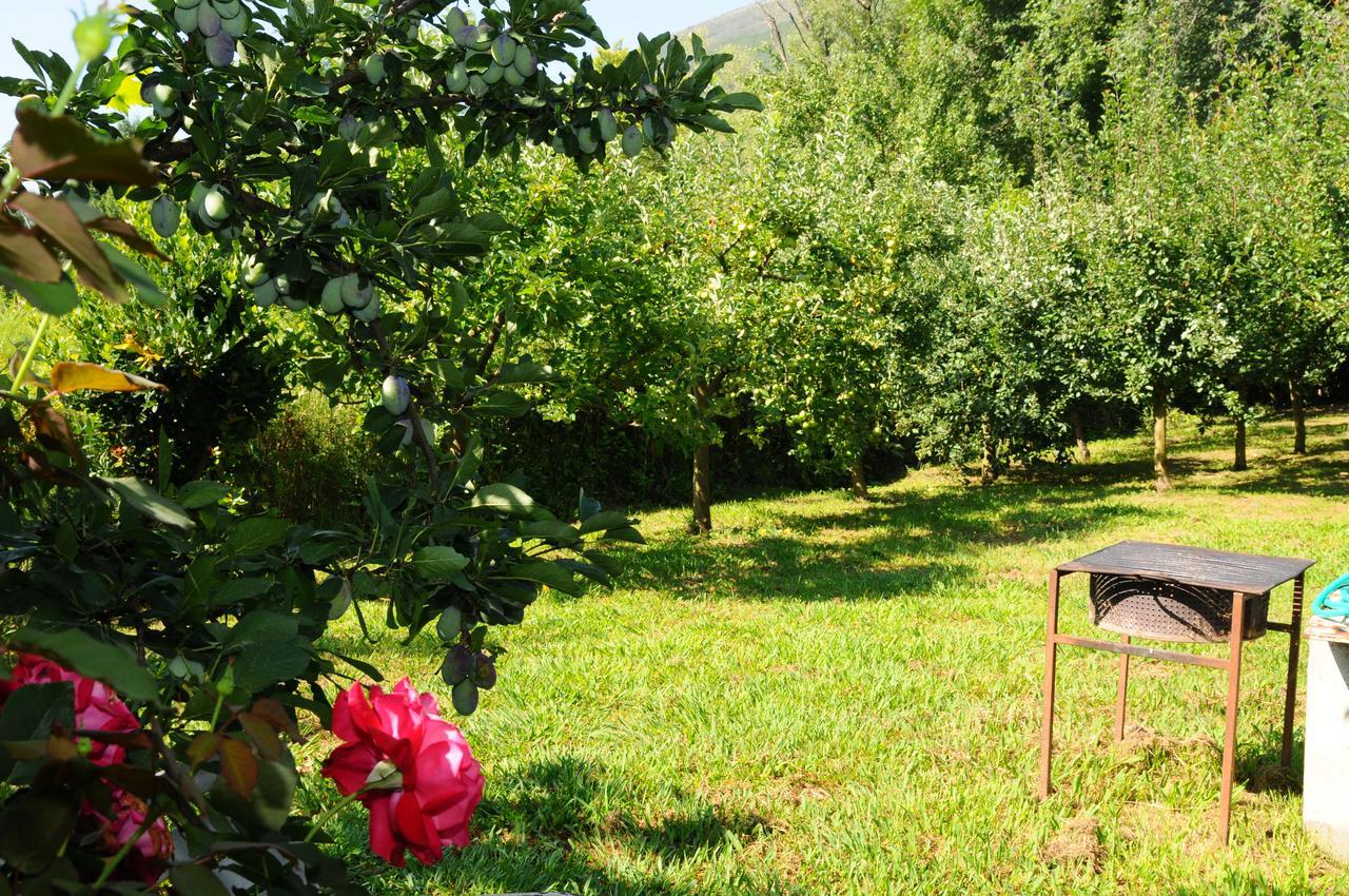 בודווה Guest House Markovic מראה חיצוני תמונה